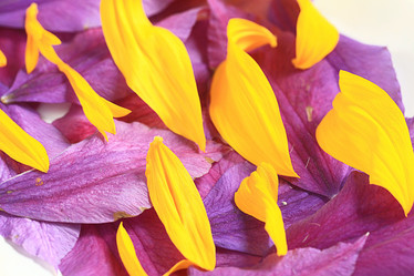 Similar image 10497021