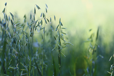 Similar image 10497024