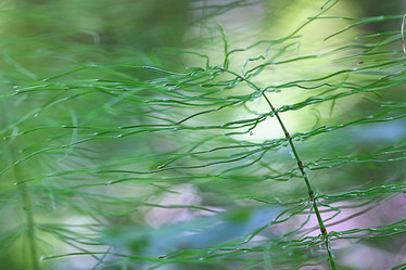 Similar image 10497026