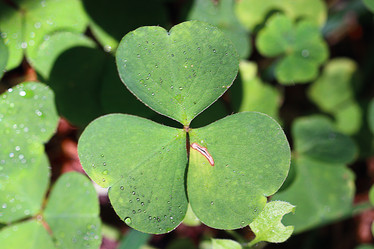 Similar image 10497033