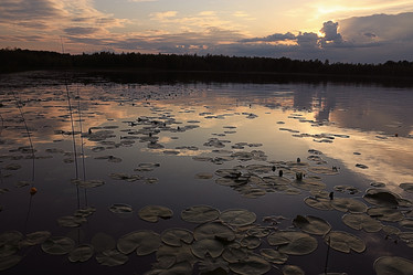 Similar image 10497035