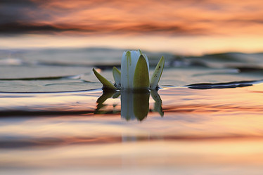 Similar image 10497036