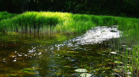 Similar image 10497038