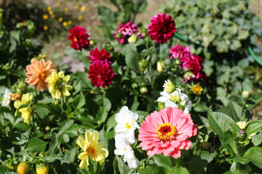 Similar image 10497044