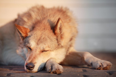 Similar image 10497046