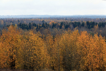 Similar image 10497052