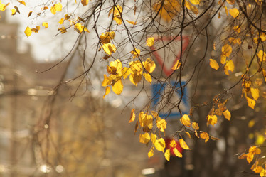 Similar image 10497056