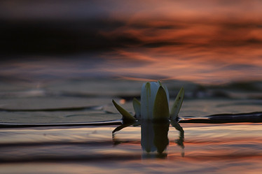 Similar image 10497057