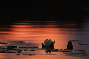 Similar image 10497058