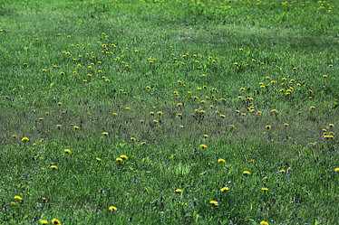 Similar image 10497059