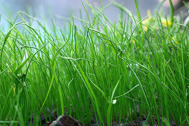 Similar image 10497068