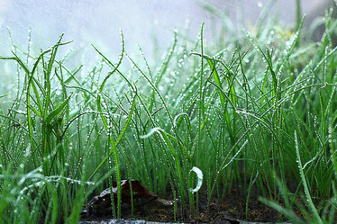 Similar image 10497069