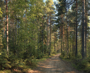 Similar image 10497074