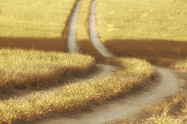 Similar image 10497081