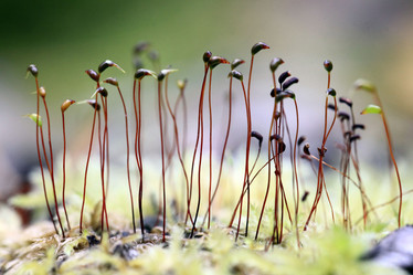 Similar image 10497085