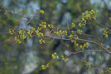 Similar image 10497087