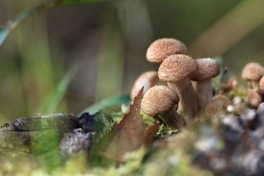 Similar image 10497088