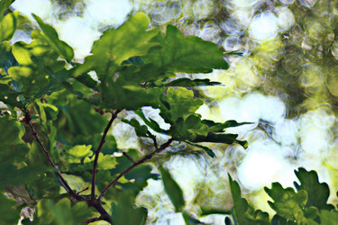 Similar image 10497089