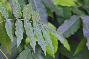 Similar image 10497091