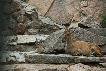 Similar image 10497092