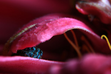 Similar image 10497096