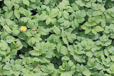 Similar image 10497111