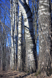 Similar image 10497116