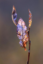 Similar image 10497126