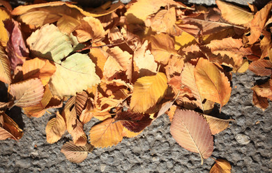 Similar image 10497129