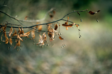 Similar image 10497130