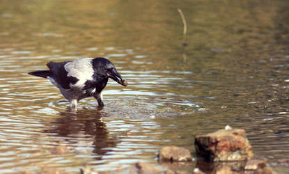 Similar image 10497132