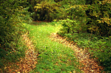 Similar image 10497133