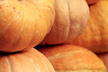 Similar image 10497143