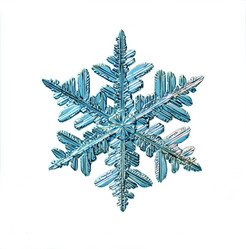 Similar image 10497148