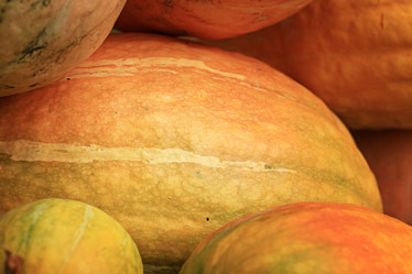 Similar image 10497149