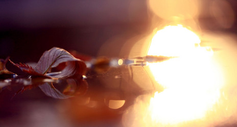 Similar image 10497153