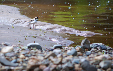 Similar image 10497154