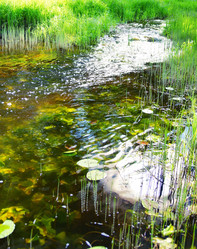 Similar image 10497155