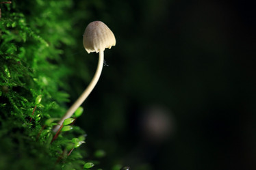 Similar image 10497160