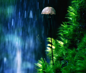 Similar image 10497166