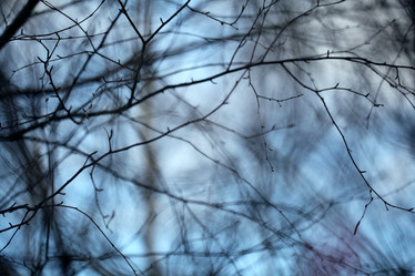 Similar image 10497169