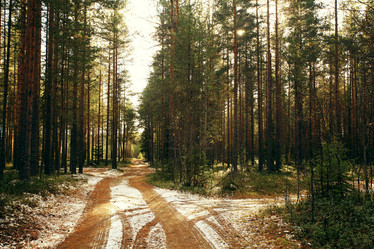 Similar image 10497174