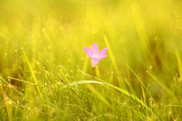 Similar image 10497180