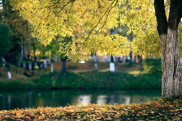 Similar image 10497195