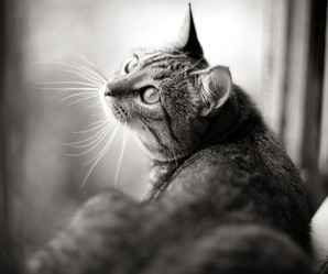 Similar image 10497196