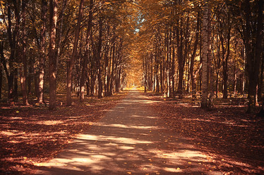 Similar image 10497214