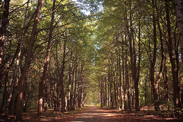 Similar image 10497216