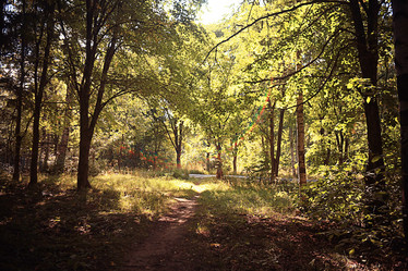 Similar image 10497218