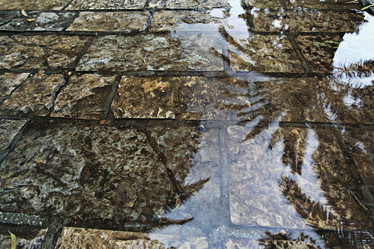 Similar image 10497231