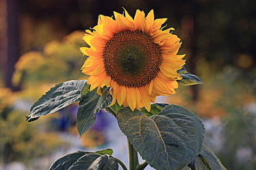 Similar image 10497258